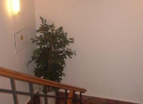 Особняк "Дом Хельсинки" – фото объекта